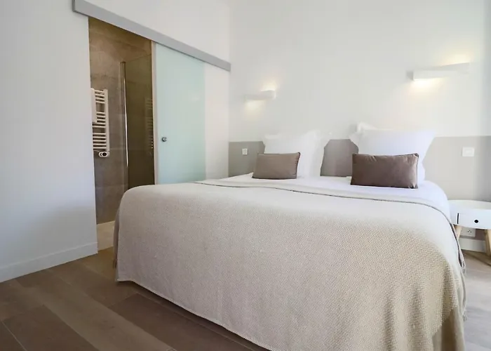 Napoleon Luxurious Renovated 1min From Palais