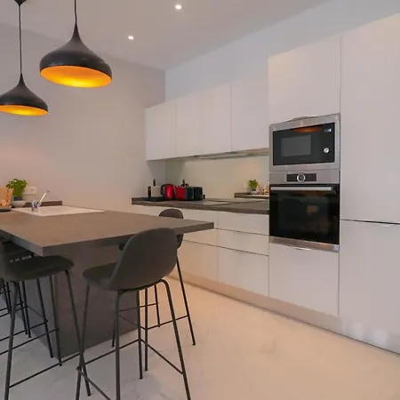 Napoleon Luxurious Renovated 1min From Palais *