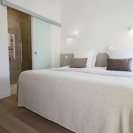 Napoleon Luxurious Renovated 1min From Palais