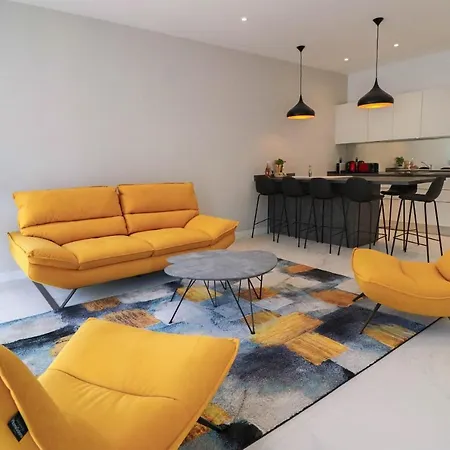 Napoleon Luxurious Renovated 1min From Palais